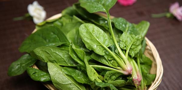 啥时候种菠菜最合适 326e9bade4d745a2afc56e63dfbc2873.jpeg