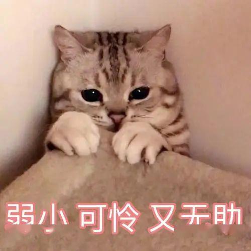 「下体」还有阵阵异味……原来是因为它！妈妈发现2岁女儿下体间断性出血