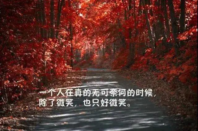 358bd95f3cf7427cbe3a0ccd6a989039.jpeg