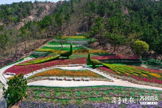 第三届青岛花博会周二启幕枯桃花艺生态园对市民免费开放