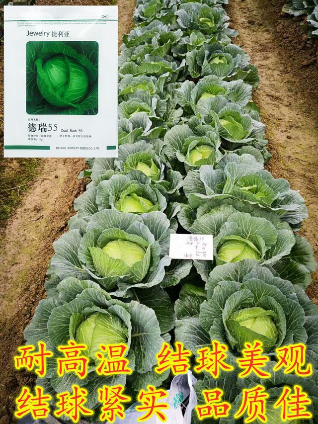 44f8f4765c9c4ababd650d37d8e54314.jpeg