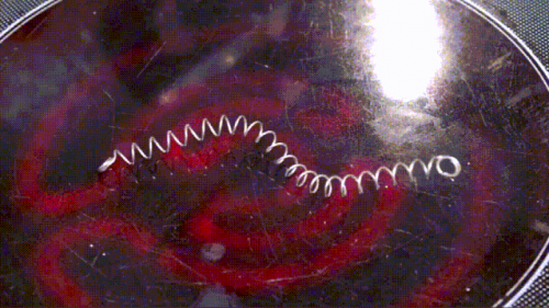46713c7a1ab04f31ba1992e78b03d510.png