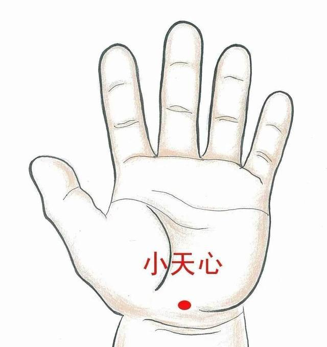 『孩子』肝气不舒，脾气大？小儿推拿来调理捏积派——孩子舌头尖尖