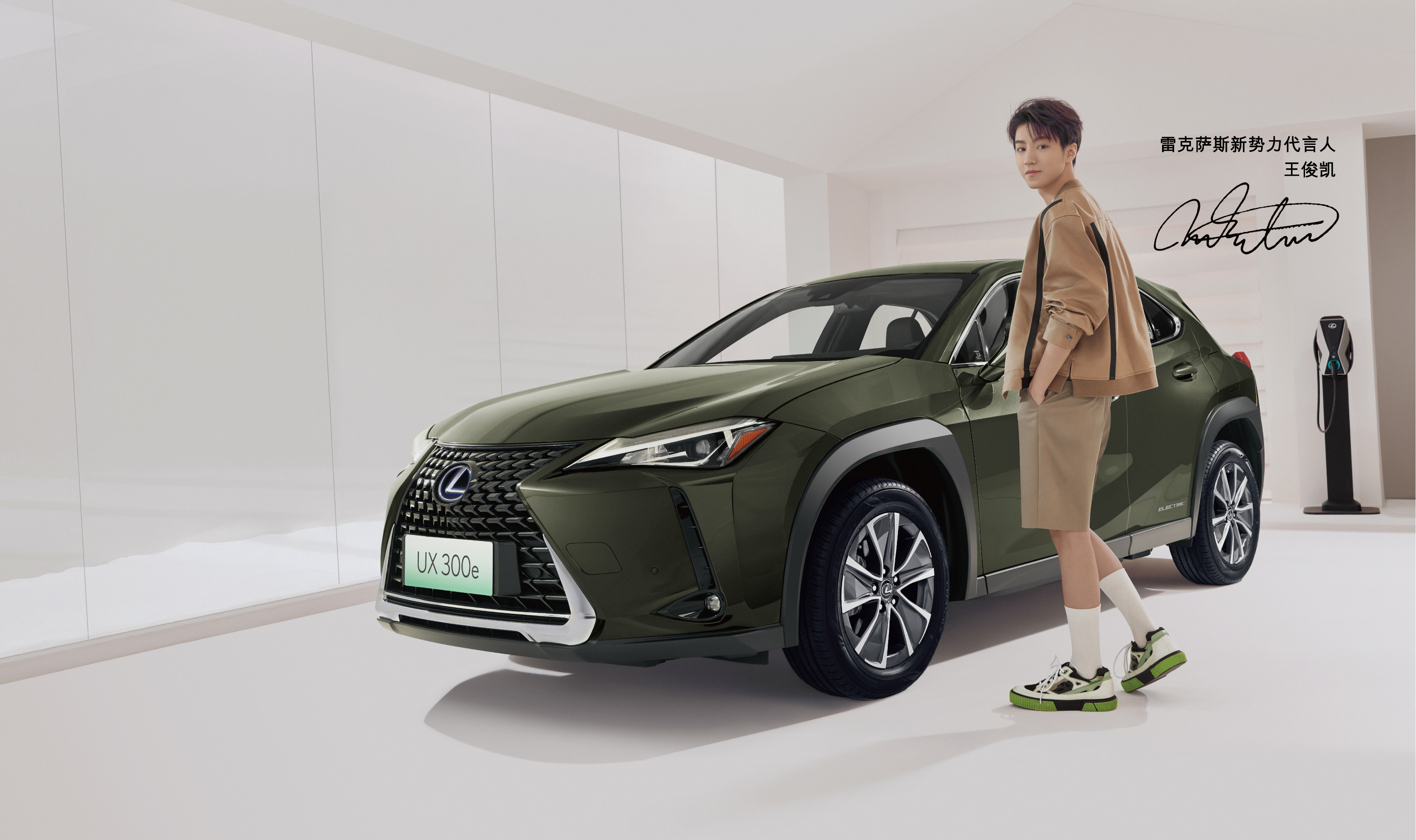 安享纯电，只因LEXUS雷克萨斯UX 300e正式上市