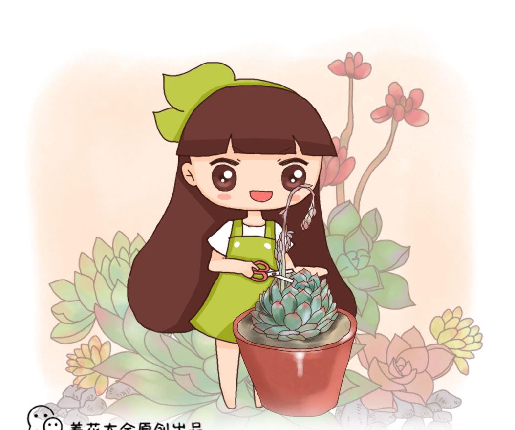 原创这花一开花就得剪,否则植株黄叶,枯萎