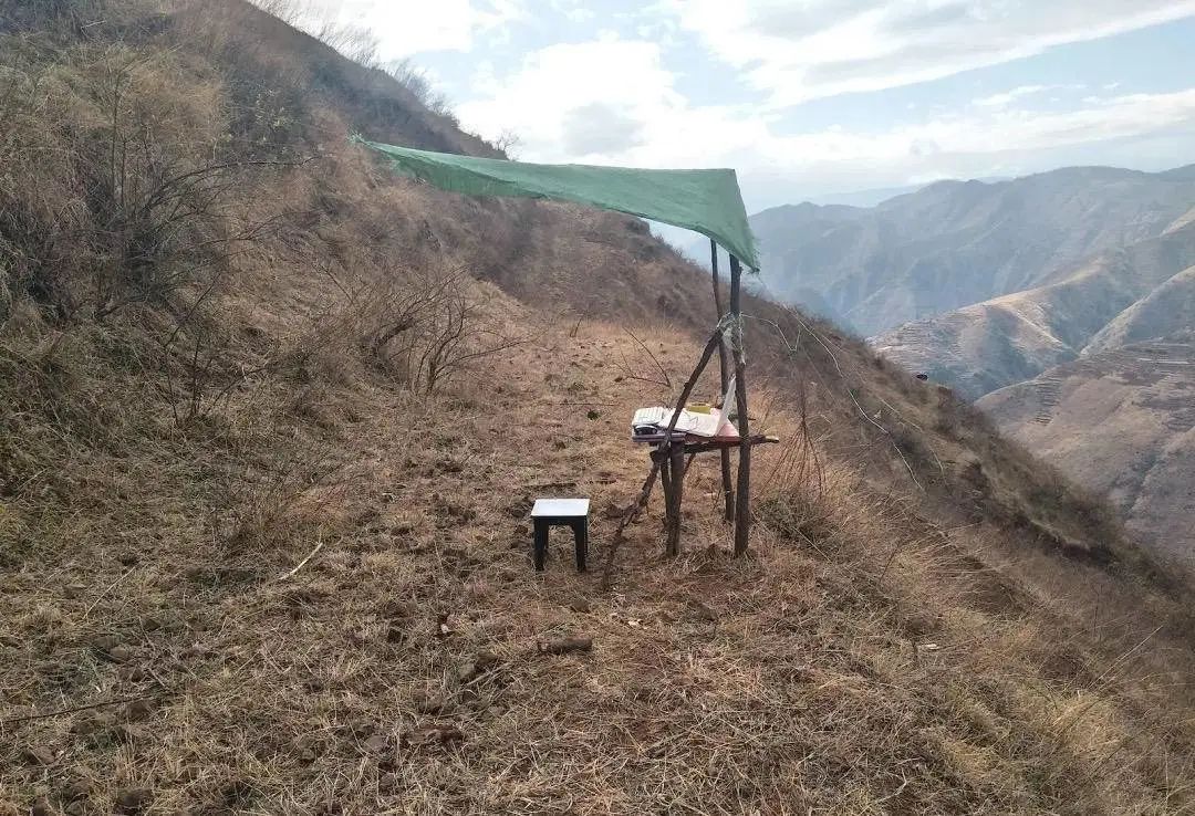 37万房产经纪人，和被照亮的一千零一夜