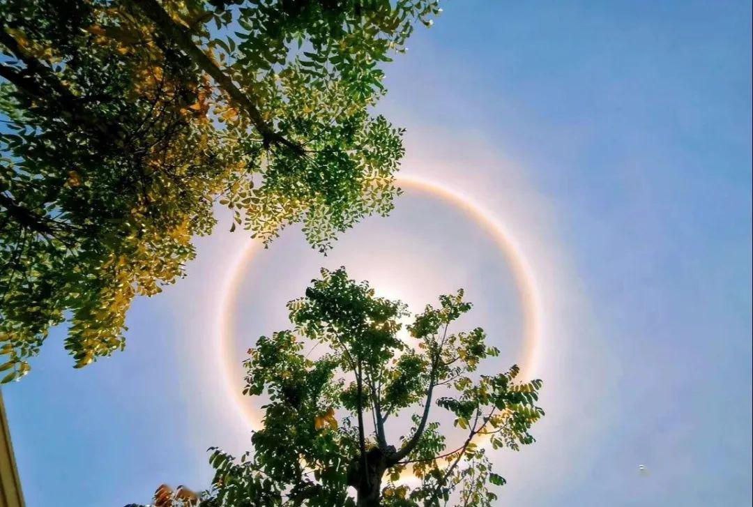 寻乌天空惊现日晕奇观天气一秒入夏五一假期又反转