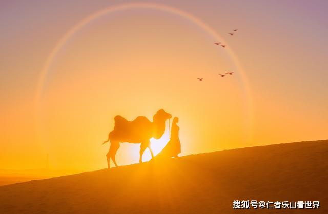 活得潇洒简谱_活得潇洒图片
