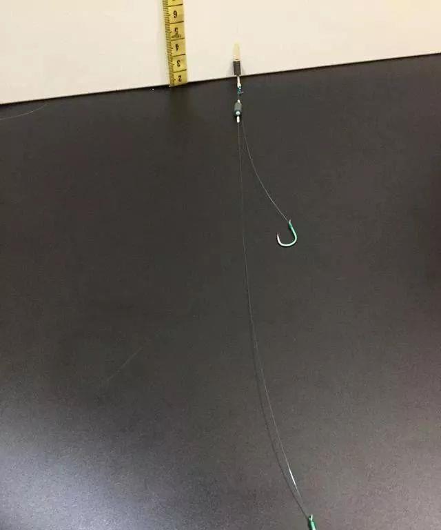 77ab1c202cb44d16916756695d2023d8.jpeg