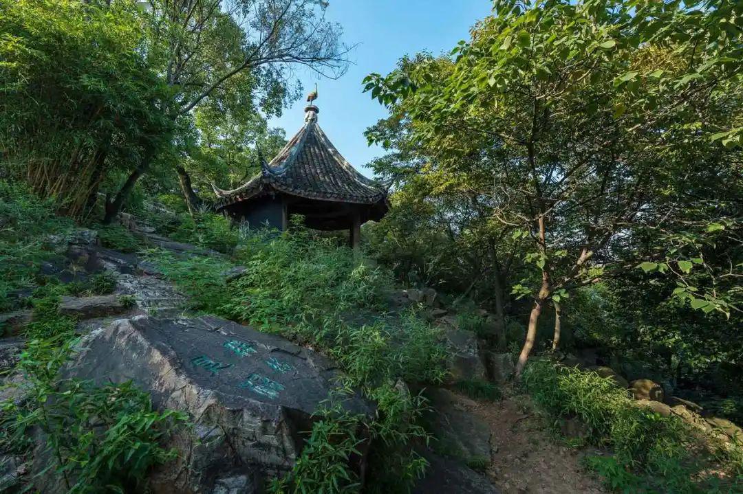 天池山景区 天池山景区位于太湖国家风景名胜区,东吴国家森林公园境内