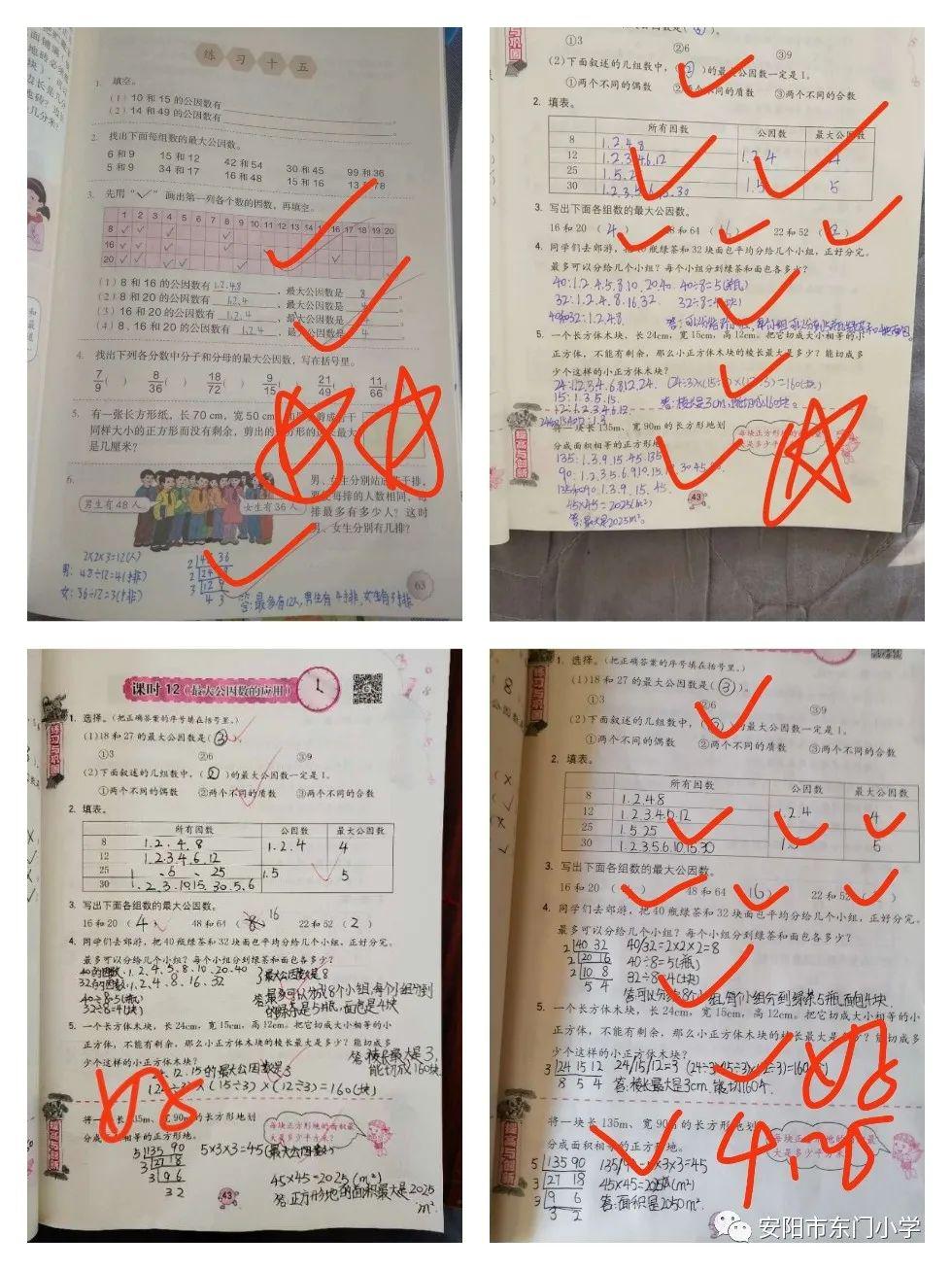 面向阳光 努力向上——东门小学五年级数学组第十二周