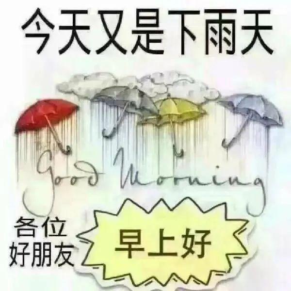 雨天早安问候语图片下雨天的问候图片带字