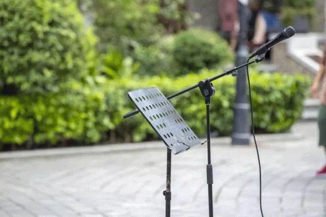 逆风的方向,更适合飞翔