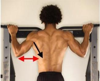 如何简单快速练出肱二头肌 92ac3f0890ea41bd85aa278c728116e7.jpeg