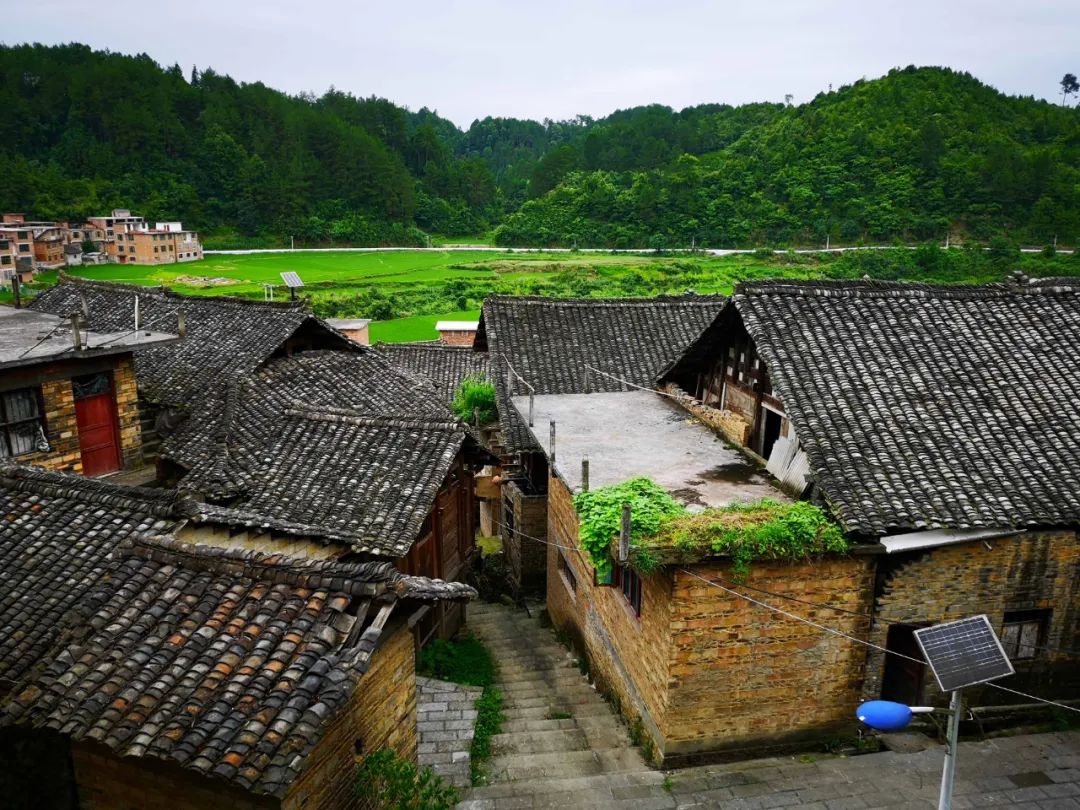 浙报整版丨美丽经济一路生长 安吉乡村振兴绘就新图景