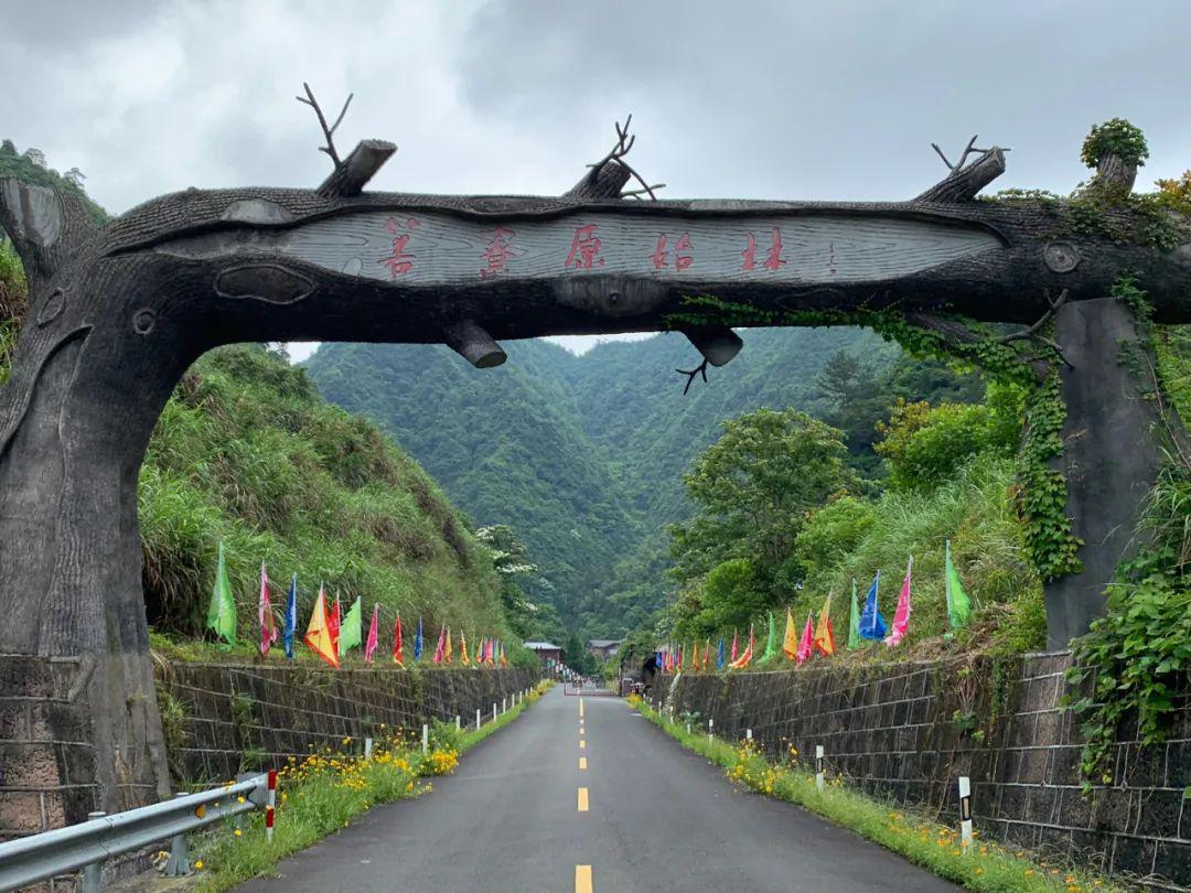 景区地址| 松阳县水南街道岩下村 「箬寮原始林景区」 一日山水一日