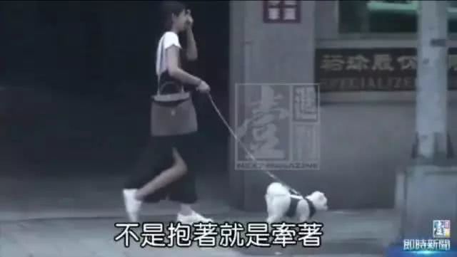 她和小鲜肉一周约会三次被偷拍，过往情史都被