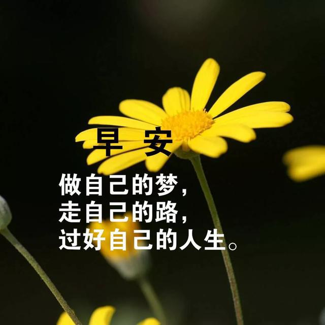 9c4b03c466524bc287a46087eafa2f17.jpeg