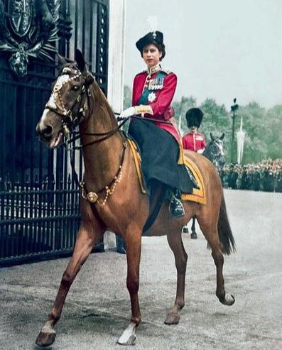 原创英国王室爱骑马女王的24亿美元是财力支撑珍珠公主钟爱马术