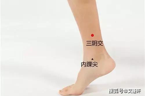 阳陵泉:腰痛,膝盖疼痛,脚麻痹,消化不良!_艾灸