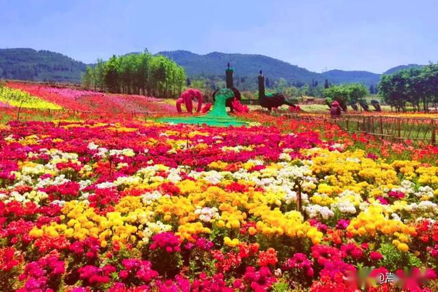 百花箐山谷:邂逅浪漫神秘的嘉丽泽高原水乡,纯净的水静谧地流淌了上