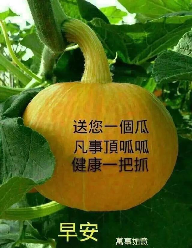 中午好表情图 早上好表情动态 早上好动图表情 早晨好