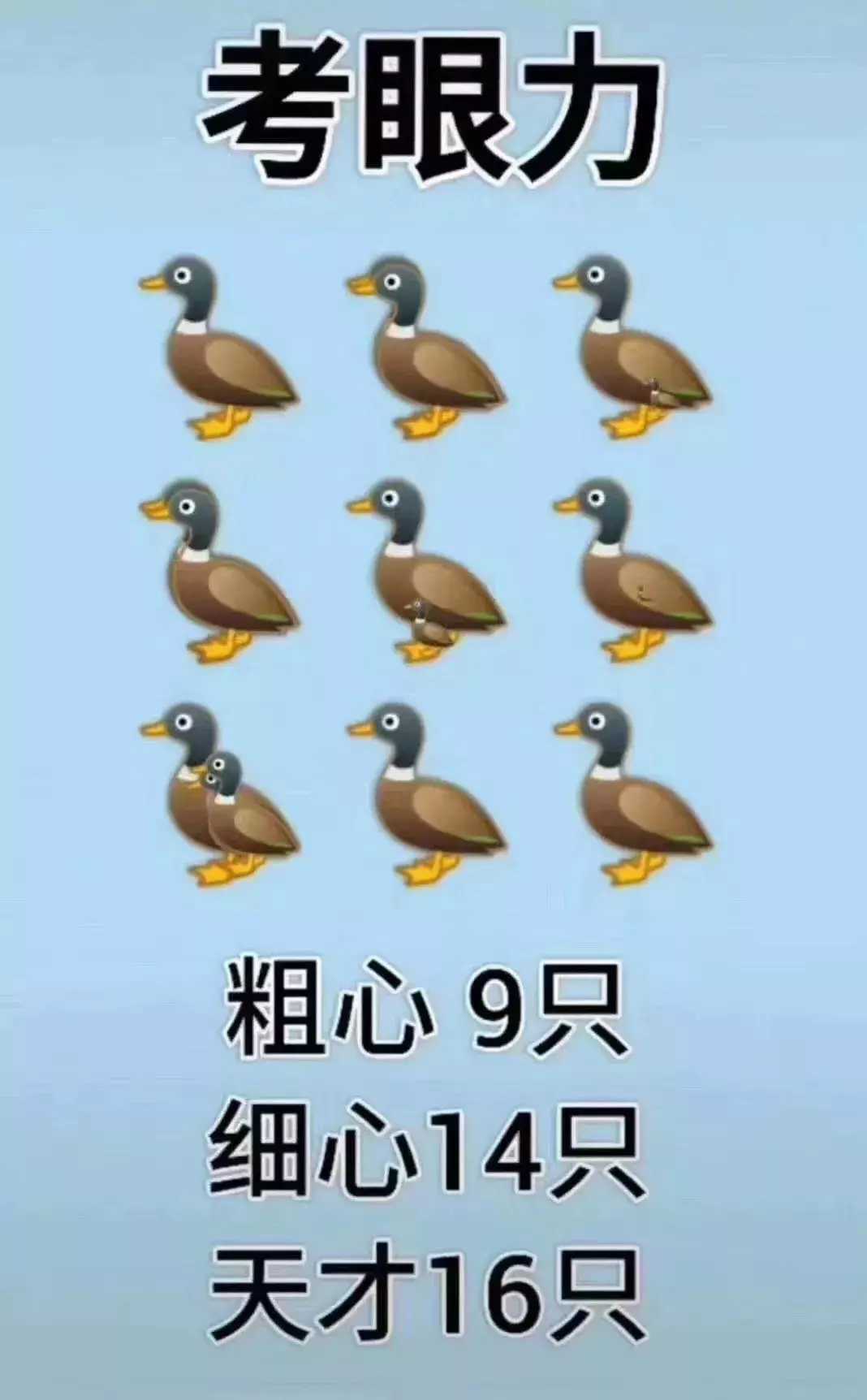 6▼下面的图里有几只鸭子?
