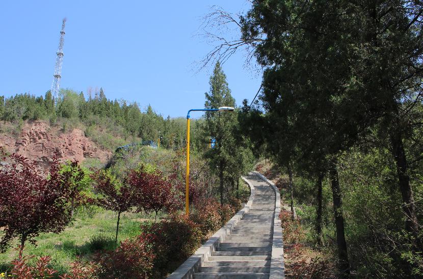 园中除了建有公园广场,环山公路,登山道,休闲长廊等设施,还建有多处