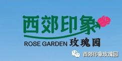 什么时间适合开市 ba1267eca0024422b33b3480f7a3f901.jpeg