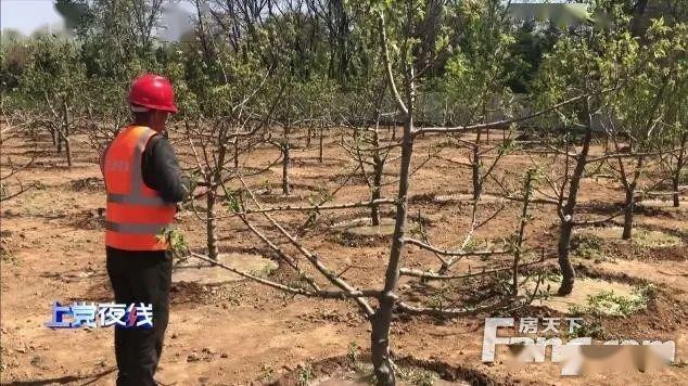 牛俊超(太行公园西侧地块环境整治和景观提升工程项目负责人"整个