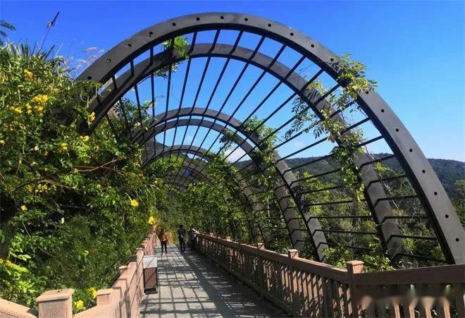 福建各市2020年前5个_福建奔驰威霆2020款(2)