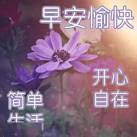 下雨早晨问候图片大全 早上好下雨天问候图打伞图