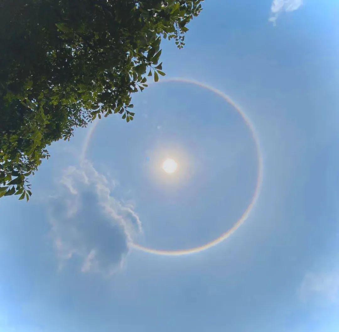 日,月晕的出现,意味着风雨天气即将到来.