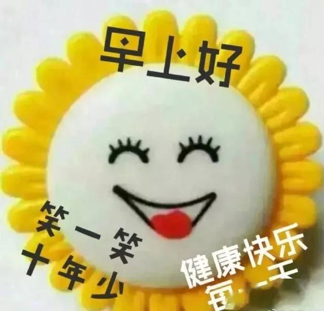 中午好表情图 早上好表情动态 早上好动图表情 早晨好