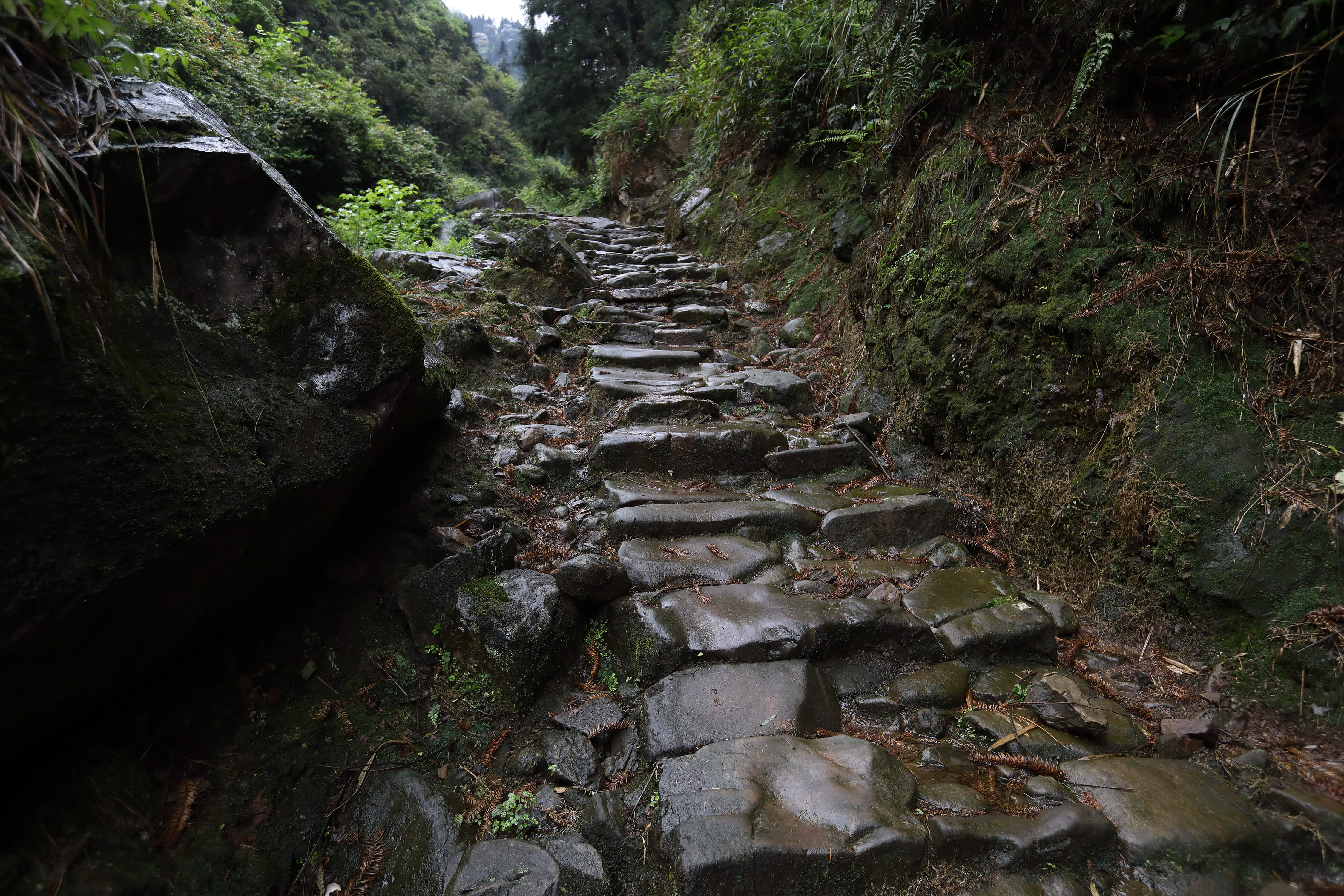 珙县王家镇多少人口_四川宜宾珙县何开华