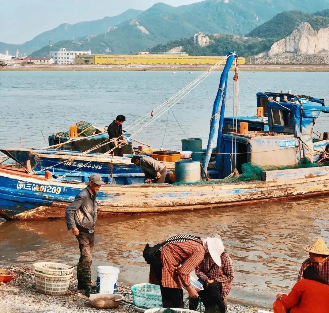 舟山码头的海鲜比宁波贵一半!到底坑没坑?连本地人也这么说