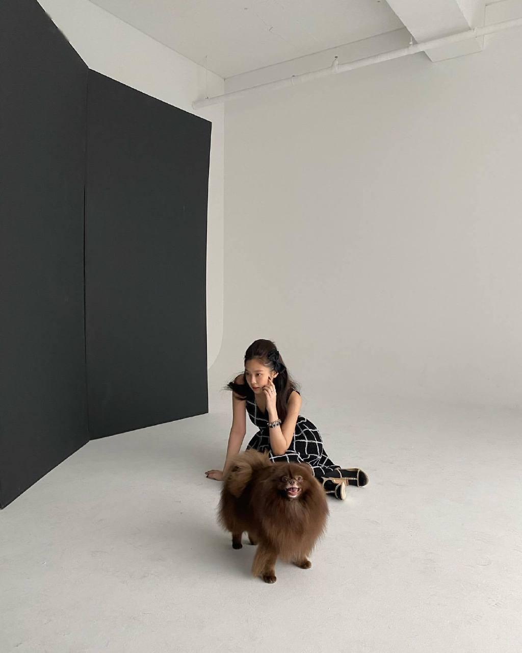 jennie与爱犬kuma的杂志画报拍摄现场公开活泼优雅的妖精美貌