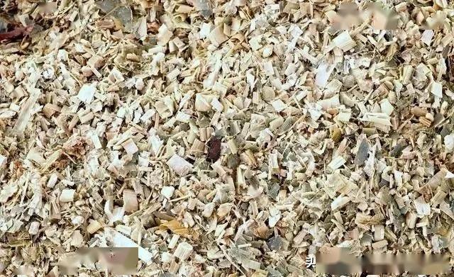 敦煌曲谱原件现藏于