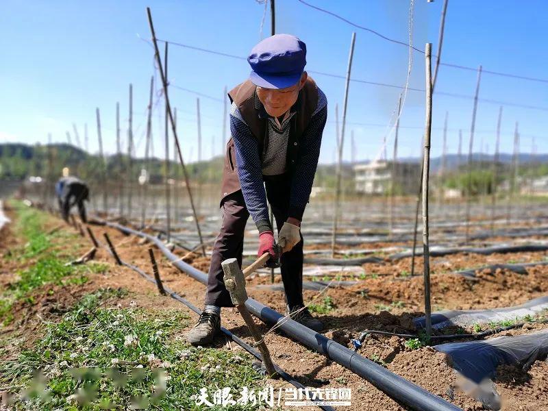 坚决啃下脱贫攻坚的"硬骨头—看威宁自治县实施农