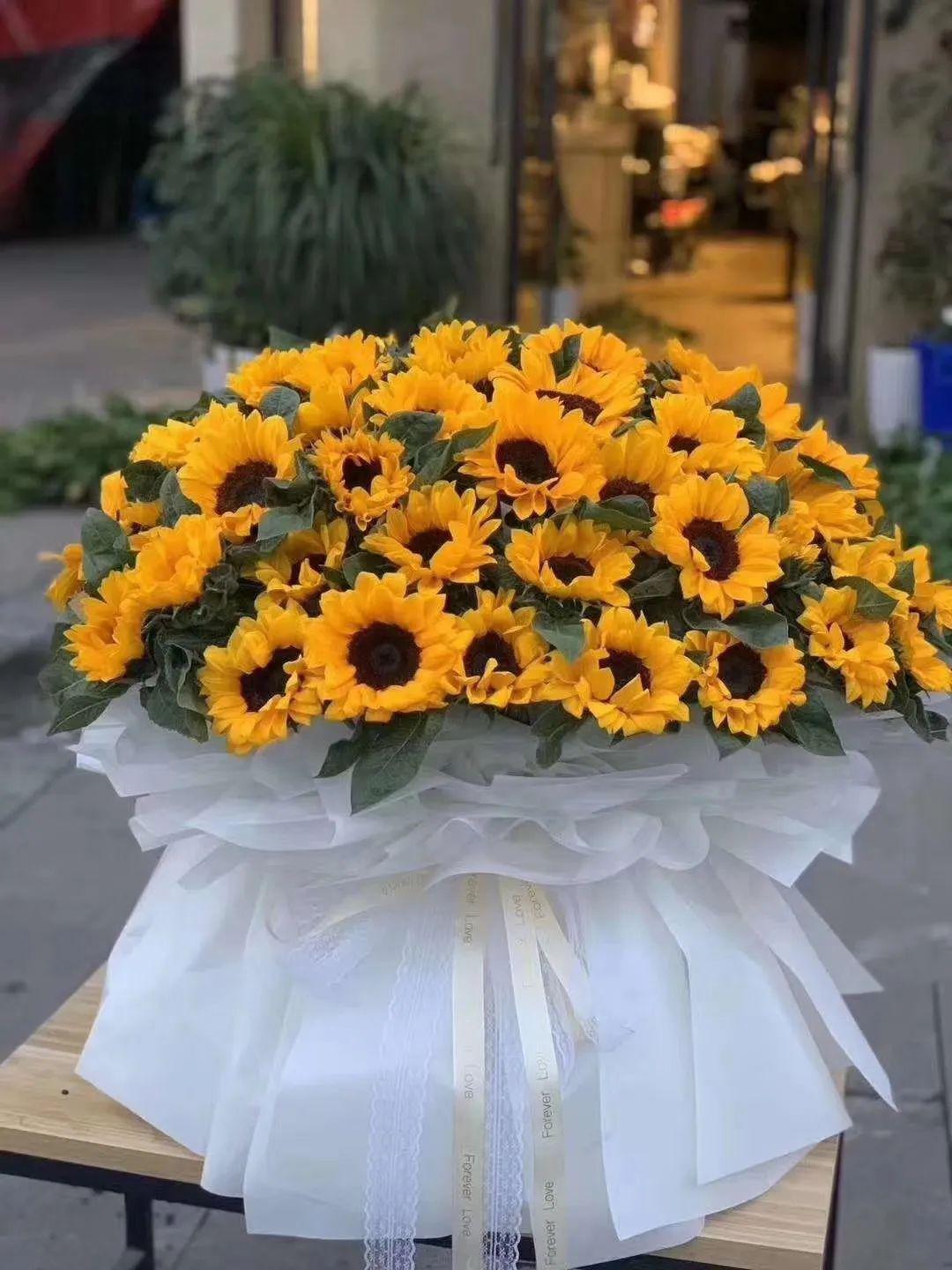 午后四点半的阳光,柔柔的撒在靠近窗边的向日葵上.