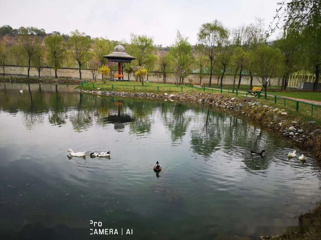 鱼跃龙门树间吟 无限雅致自然情 胜却江南水乡行 《九眼泉感》(二)