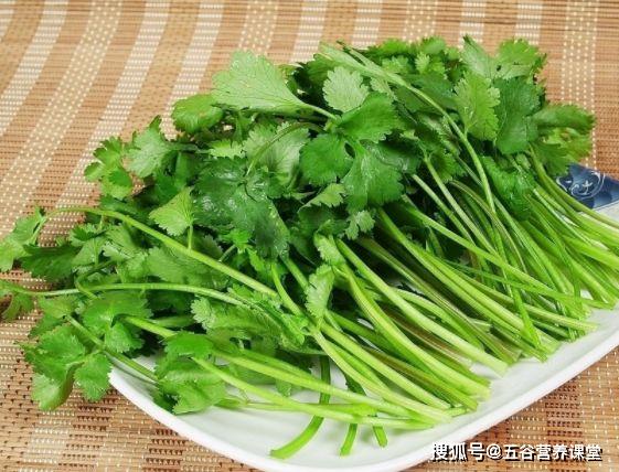 什么人不能吃香菜呢 ed4544600c6e4502a333ce4b2004ed7b.jpeg