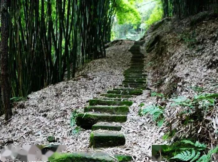 54领略仙山灵气踏古寻幽徒步松岭古道登高仙山头