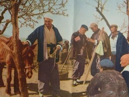 地道战老电影完整版1965年 f1b6c12f367c44fe805b399576a1042e.jpeg