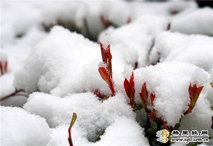 什么样的天空飘着什么样的气球 f2f9920f063e43eb8b65d5fd658f7e86.jpeg