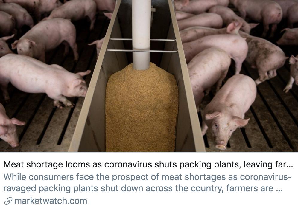 美國13家肉類加工廠因工人感染關閉，食品供應鏈面臨嚴格挑戰 國際 第2張
