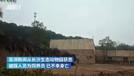 让动物园回归公益属性，多地宣布永久停止动物表演