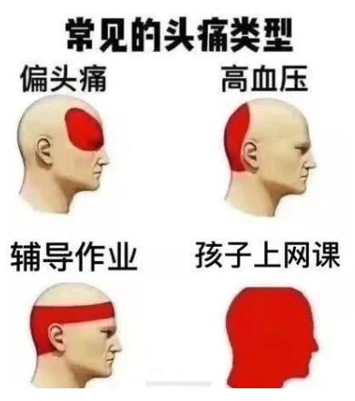 我搜集了全网最全的网课"搞笑"片段,纪念人类第一次大