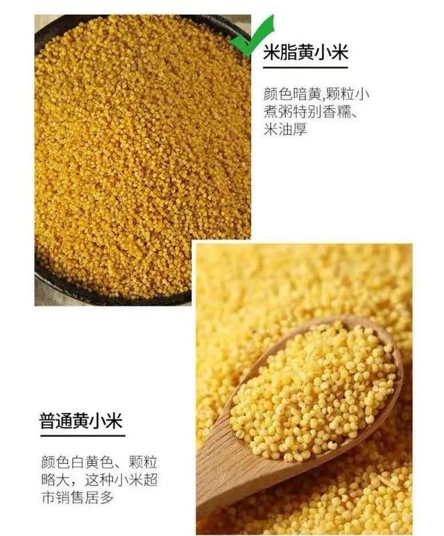辰颐物语:米脂小米-农家月子米