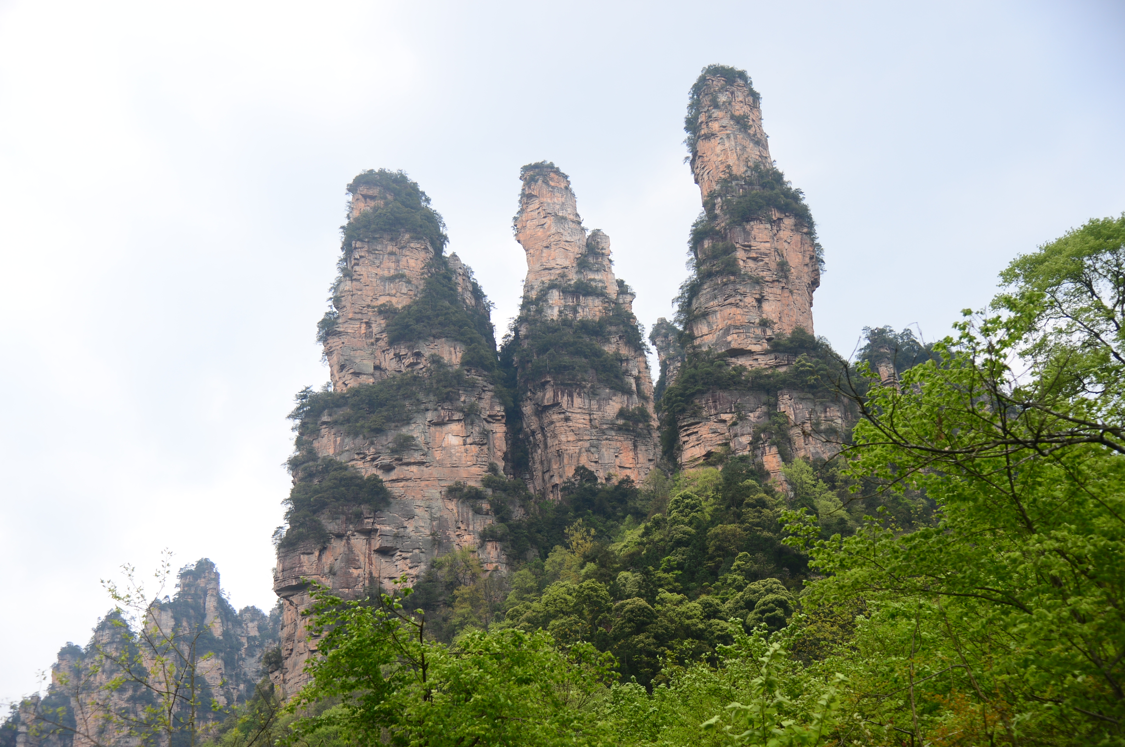 张家界十里画廊"三姐妹"峰 邓道理 摄